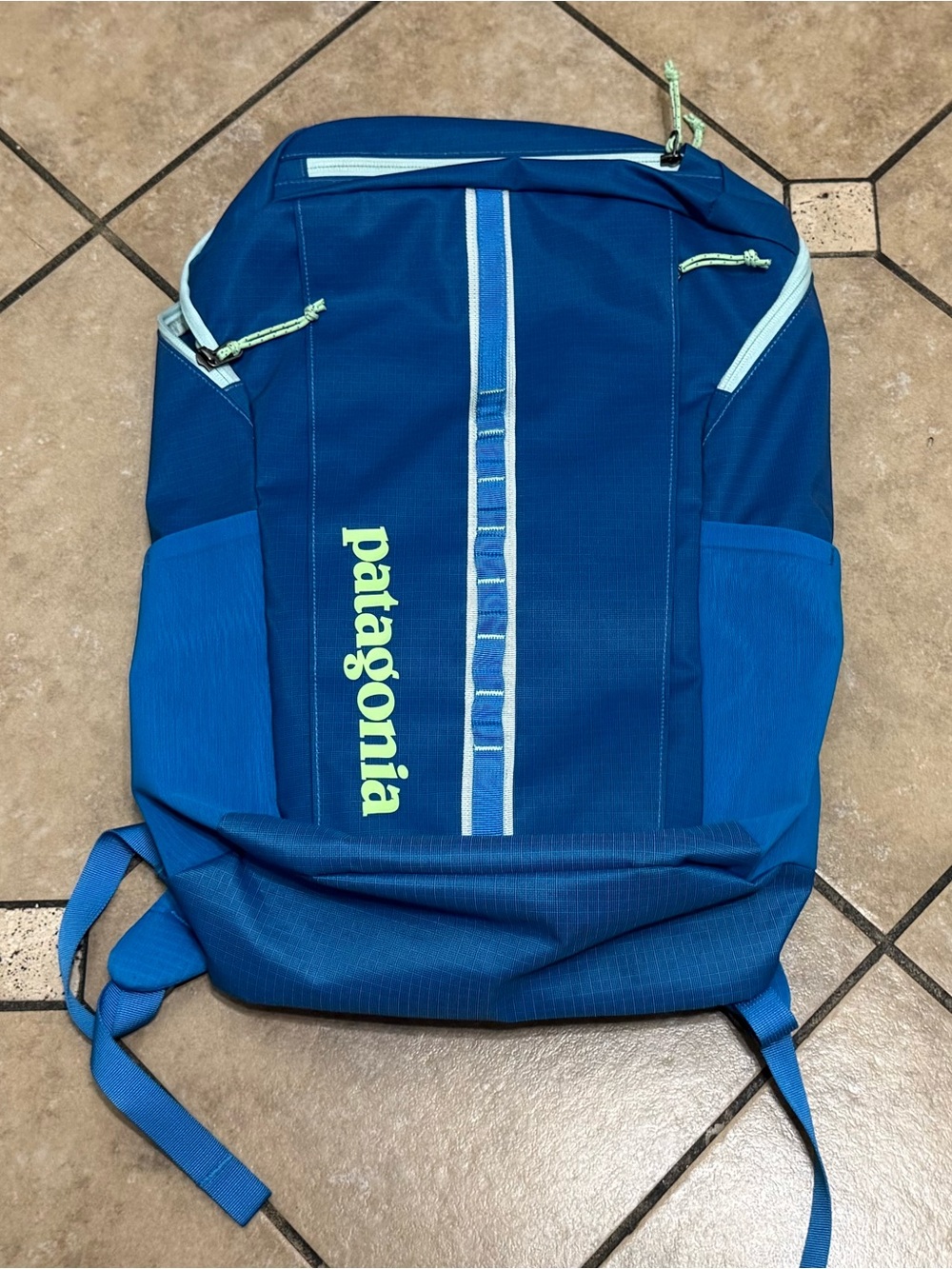 Patagonia Blue Backpack with Light Mint Accents
